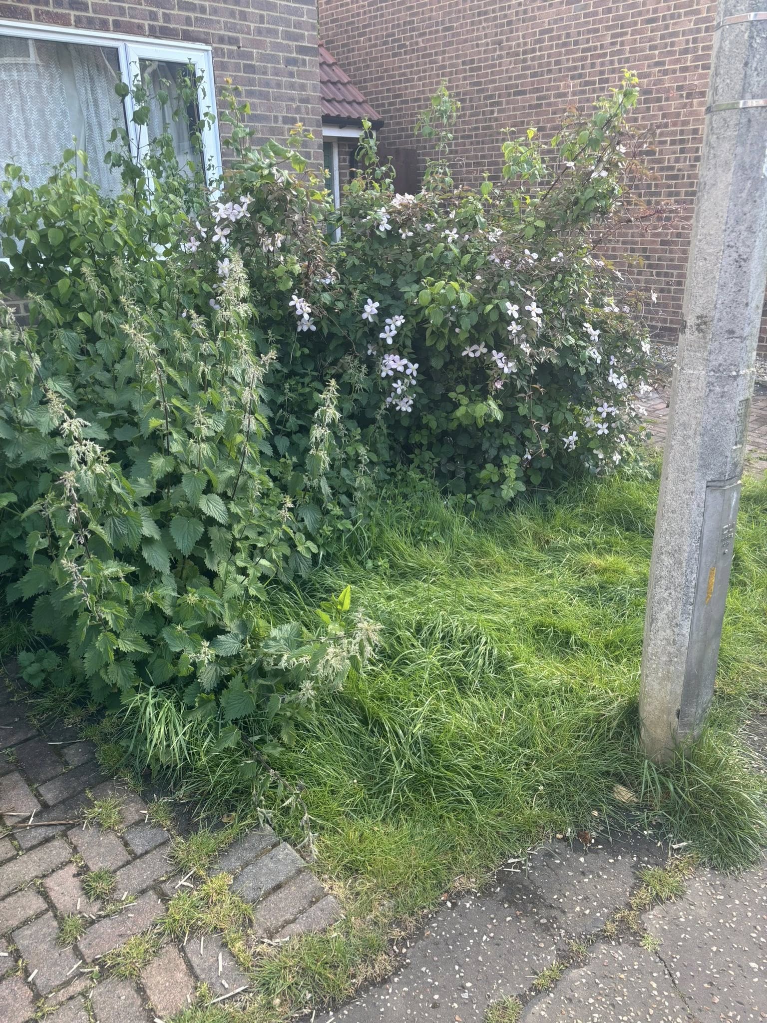 Garden Maintenance by JDN Contractors
