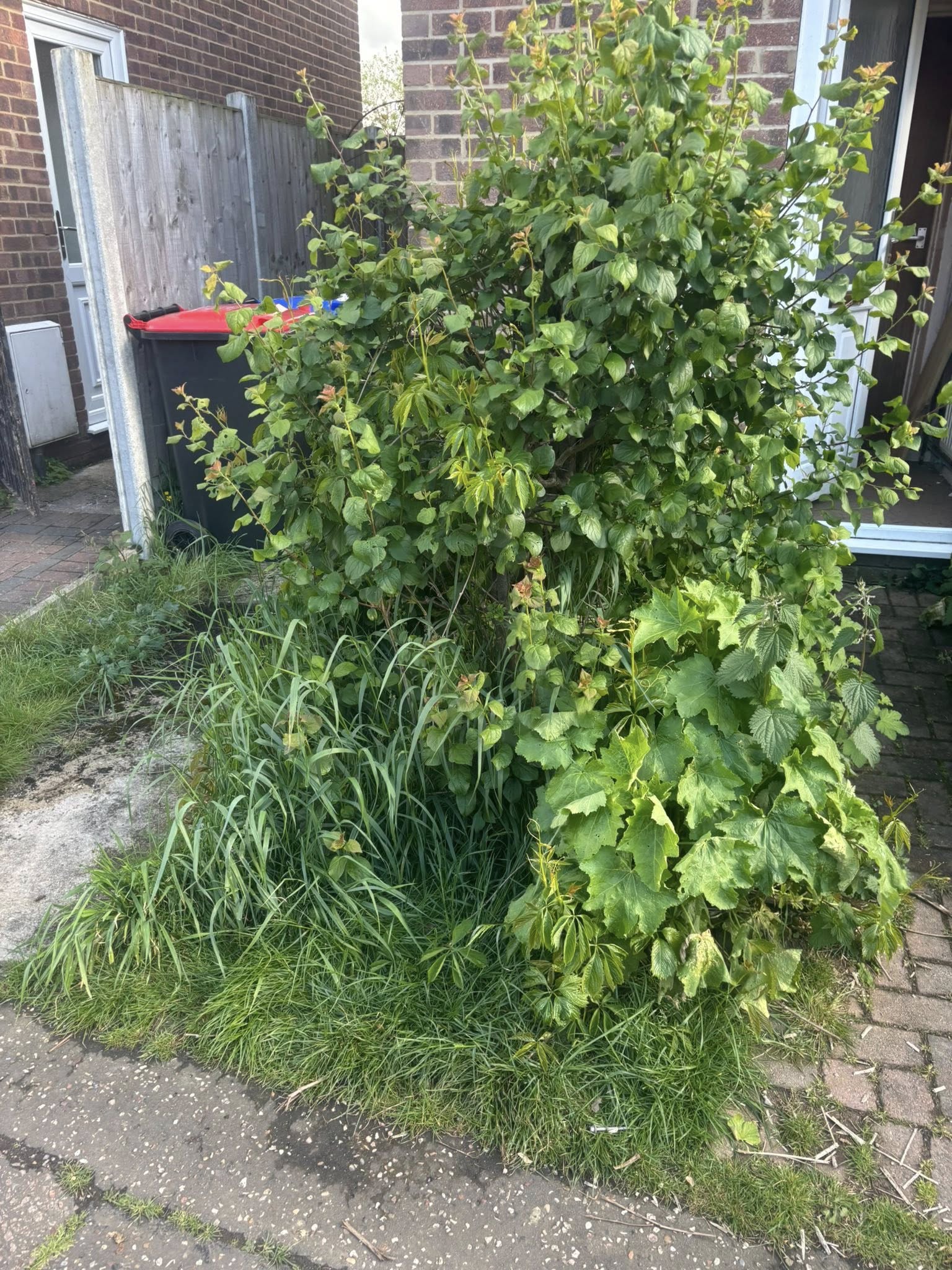 Gardening Services by JDN Contractors