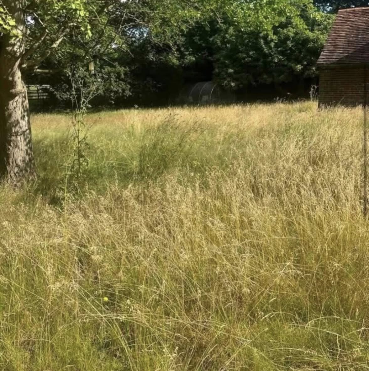 Grass Cutting by JDN Contractors