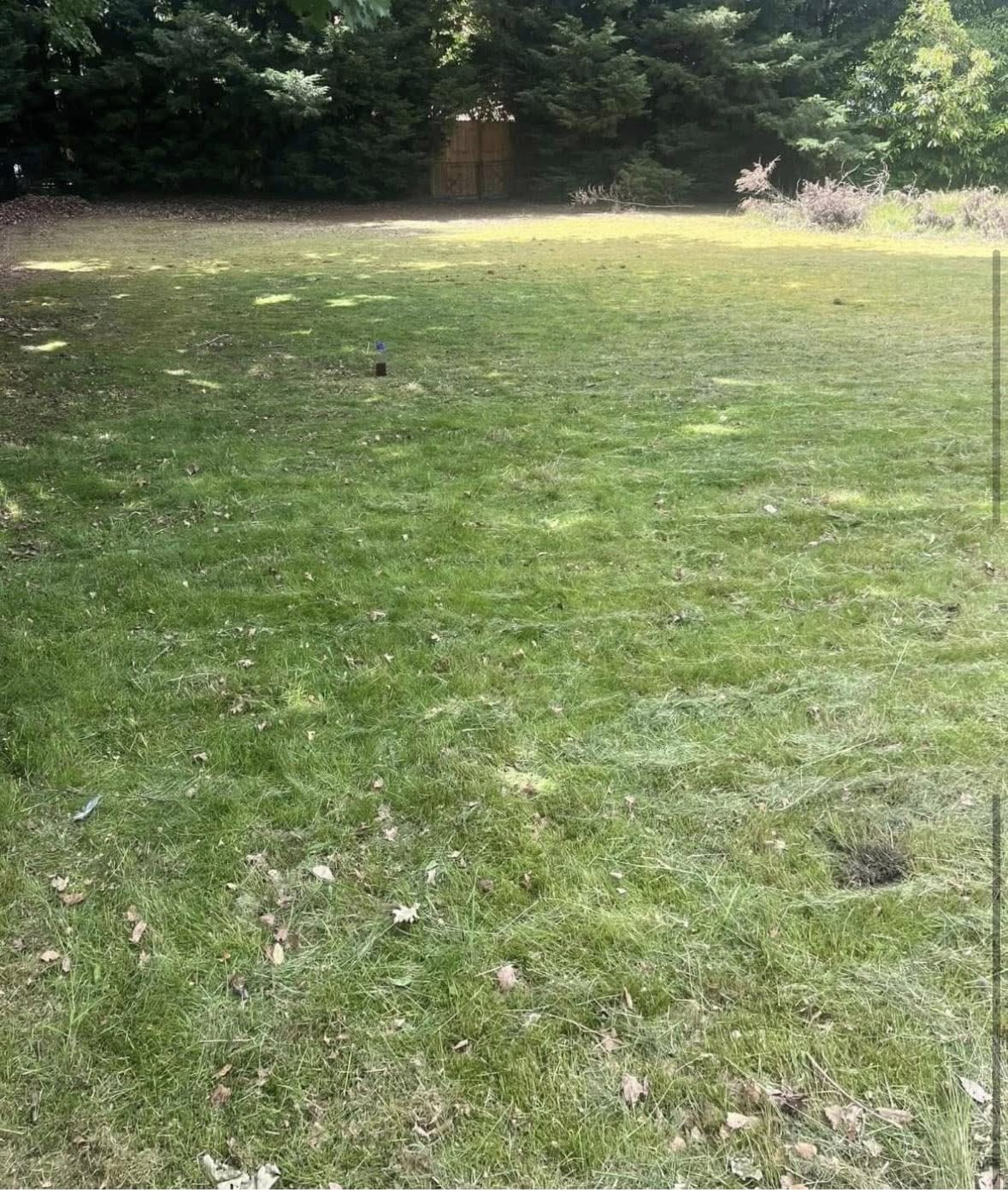 Green lawn maintained by JDN Contractors